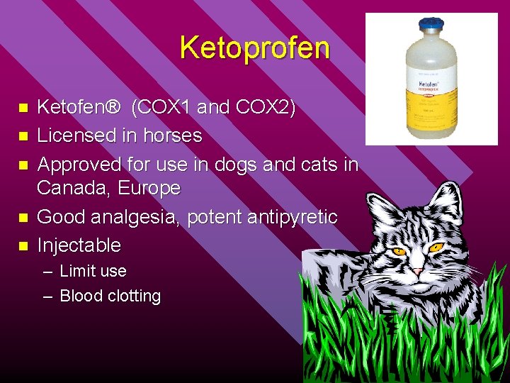 Ketoprofen n n Ketofen® (COX 1 and COX 2) Licensed in horses Approved for