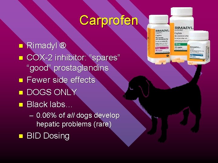 Carprofen n n Rimadyl ® COX-2 inhibitor: “spares” “good” prostaglandins Fewer side effects DOGS