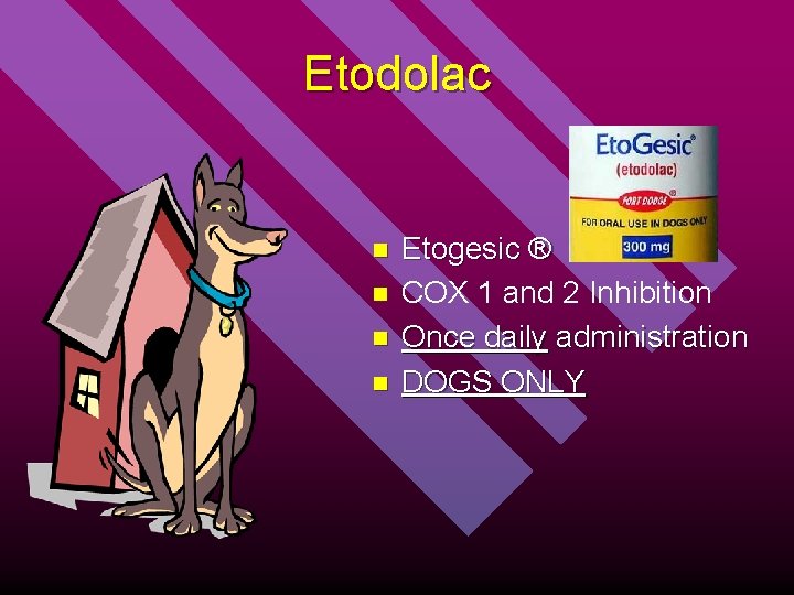 Etodolac n n Etogesic ® COX 1 and 2 Inhibition Once daily administration DOGS