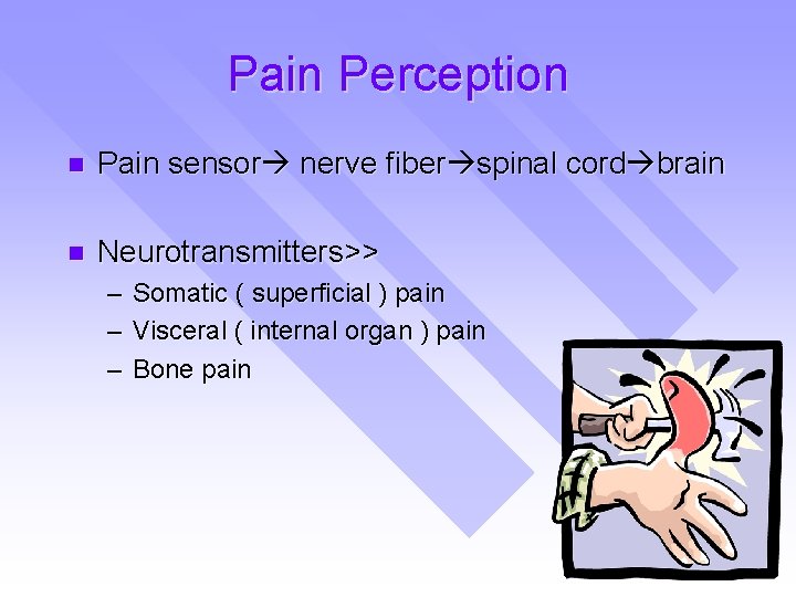 Pain Perception n Pain sensor nerve fiber spinal cord brain n Neurotransmitters>> – –