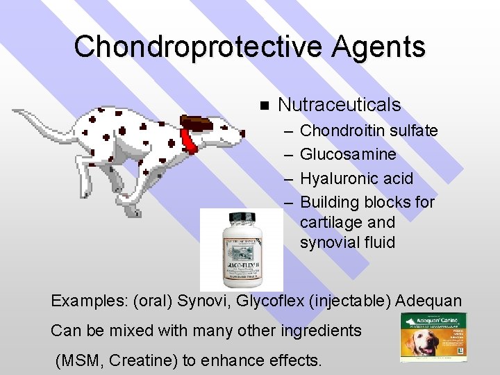 Chondroprotective Agents n Nutraceuticals – – Chondroitin sulfate Glucosamine Hyaluronic acid Building blocks for