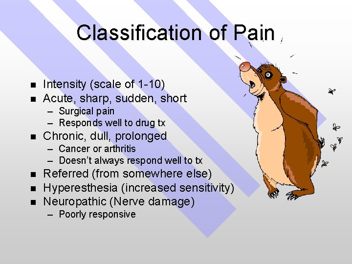 Classification of Pain n n Intensity (scale of 1 -10) Acute, sharp, sudden, short