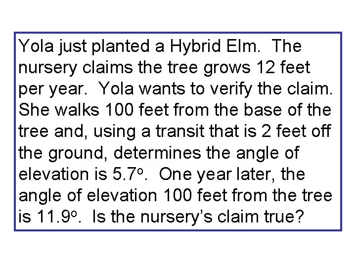 Yola just planted a Hybrid Elm. The nursery claims the tree grows 12 feet