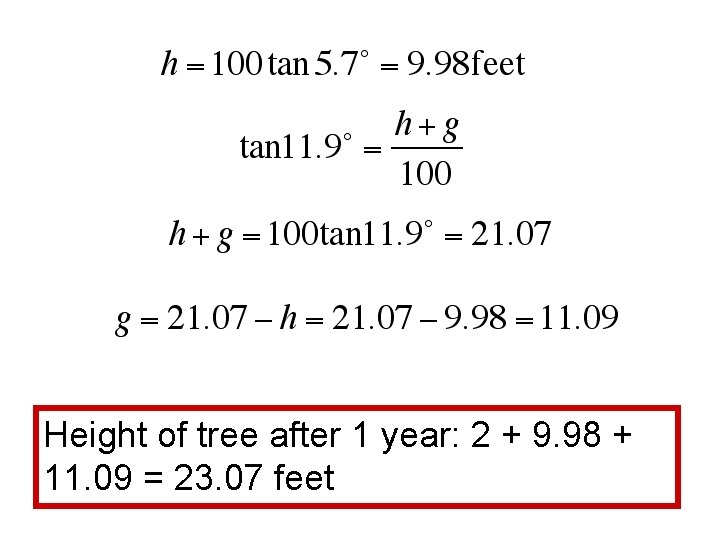 Height of tree after 1 year: 2 + 9. 98 + 11. 09 =