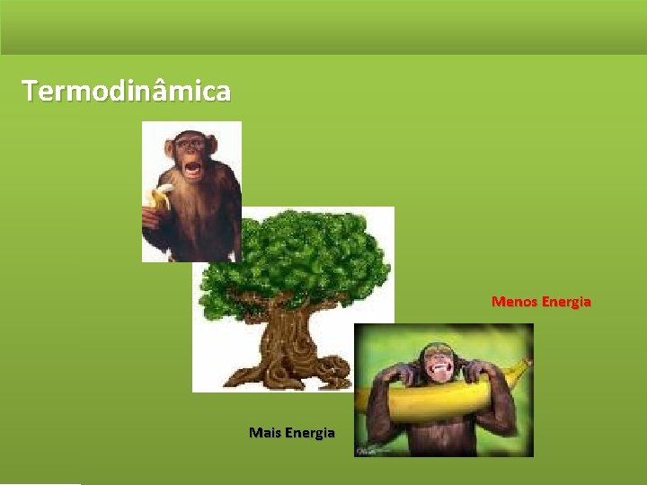 Termodinâmica Menos Energia Mais Energia 