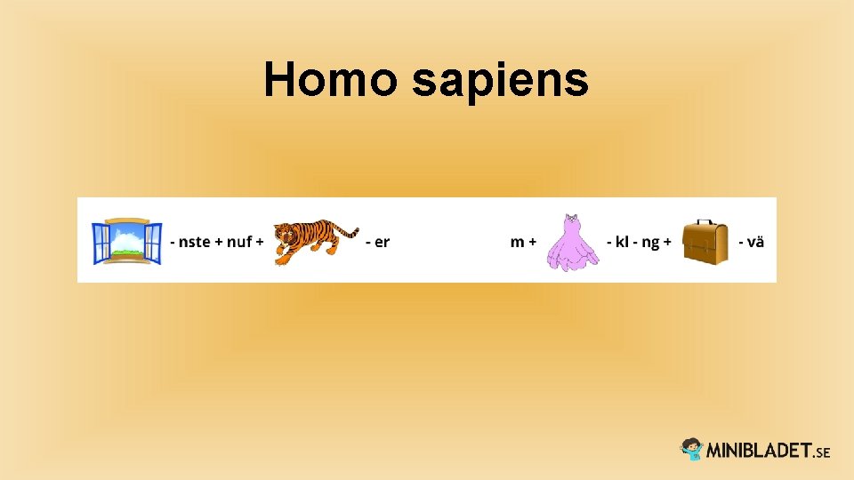 Homo sapiens 