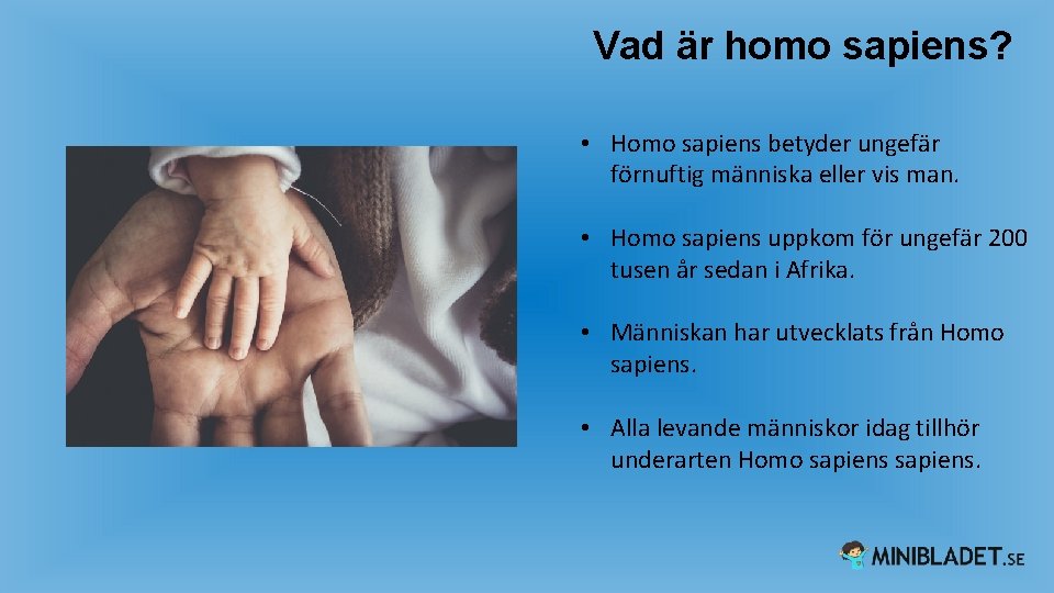 Vad är homo sapiens? • Homo sapiens betyder ungefär förnuftig människa eller vis man.