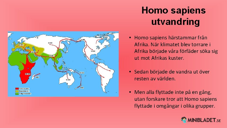 Homo sapiens utvandring • Homo sapiens härstammar från Afrika. När klimatet blev torrare i