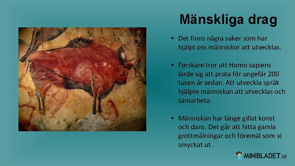 Mänskliga drag • Det finns några saker som har hjälpt oss människor att utvecklas.