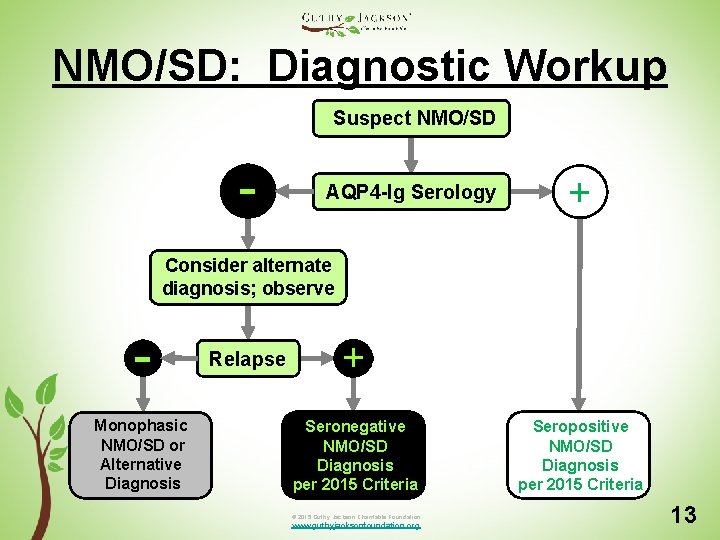 NMO/SD: Diagnostic Workup Suspect NMO/SD - AQP 4 -Ig Serology + Consider alternate diagnosis;