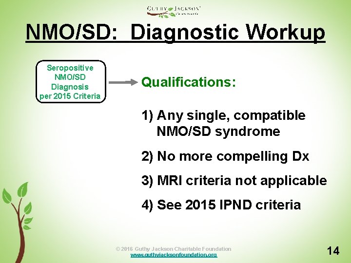 NMO/SD: Diagnostic Workup Seropositive NMO/SD Diagnosis per 2015 Criteria Qualifications: 1) Any single, compatible