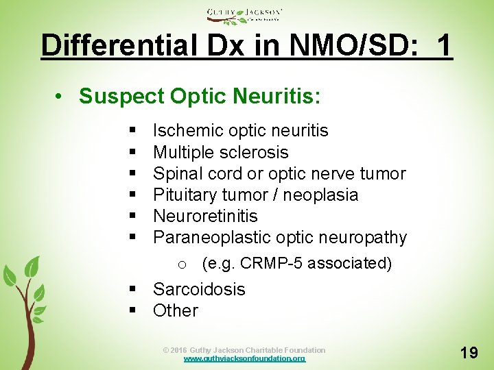 Differential Dx in NMO/SD: 1 • Suspect Optic Neuritis: § § § Ischemic optic