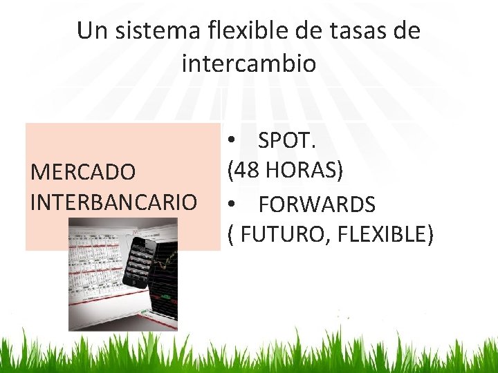 Un sistema flexible de tasas de intercambio MERCADO INTERBANCARIO • SPOT. (48 HORAS) •