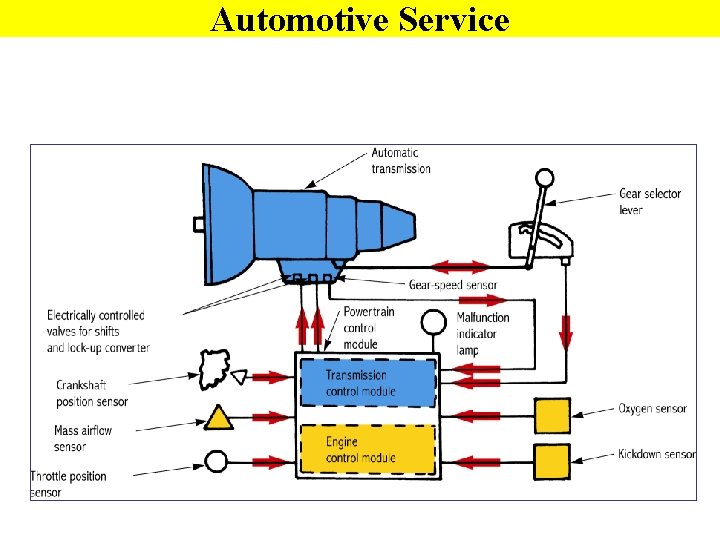 Automotive Service 