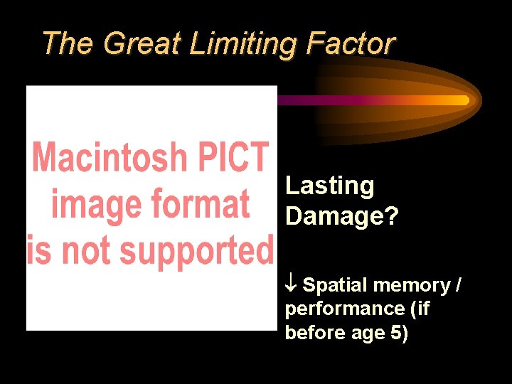 The Great Limiting Factor • Lasting Damage? • Spatial memory / performance (if before