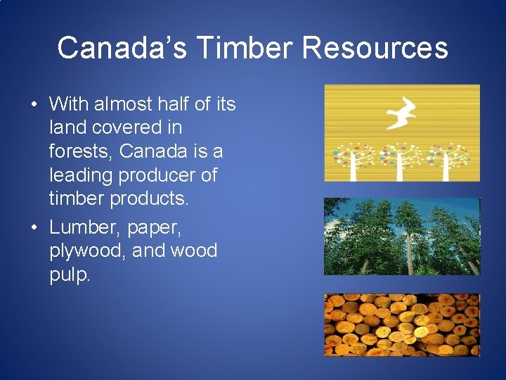 Canada’s Timber Resources • With almost half of its land covered in forests, Canada