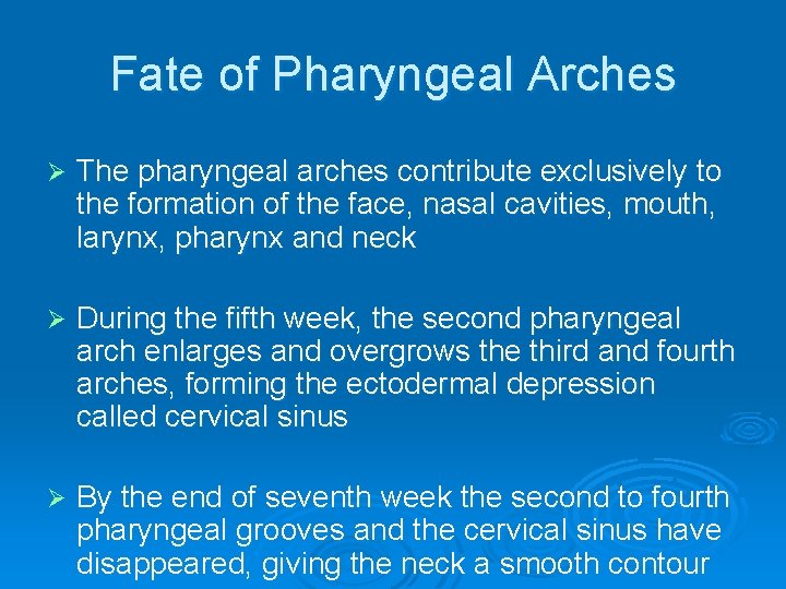 Fate of Pharyngeal Arches Ø The pharyngeal arches contribute exclusively to the formation of