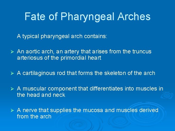 Fate of Pharyngeal Arches A typical pharyngeal arch contains: Ø An aortic arch, an