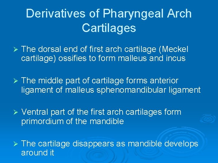 Derivatives of Pharyngeal Arch Cartilages Ø The dorsal end of first arch cartilage (Meckel