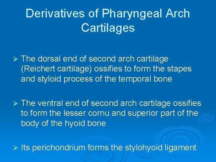 Derivatives of Pharyngeal Arch Cartilages Ø The dorsal end of second arch cartilage (Reichert