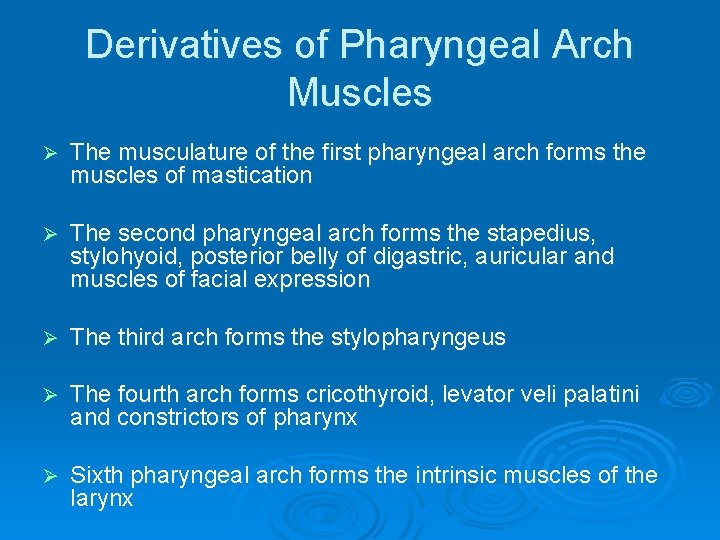 Derivatives of Pharyngeal Arch Muscles Ø The musculature of the first pharyngeal arch forms