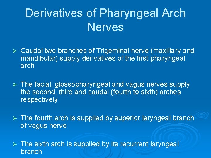 Derivatives of Pharyngeal Arch Nerves Ø Caudal two branches of Trigeminal nerve (maxillary and