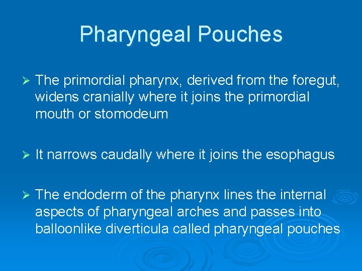 Pharyngeal Pouches Ø The primordial pharynx, derived from the foregut, widens cranially where it