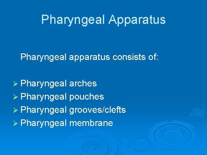 Pharyngeal Apparatus Pharyngeal apparatus consists of: Ø Pharyngeal arches Ø Pharyngeal pouches Ø Pharyngeal