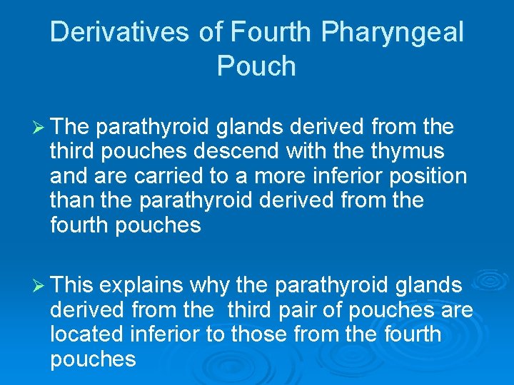 Derivatives of Fourth Pharyngeal Pouch Ø The parathyroid glands derived from the third pouches