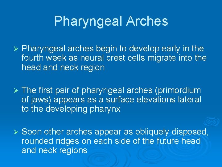 Pharyngeal Arches Ø Pharyngeal arches begin to develop early in the fourth week as