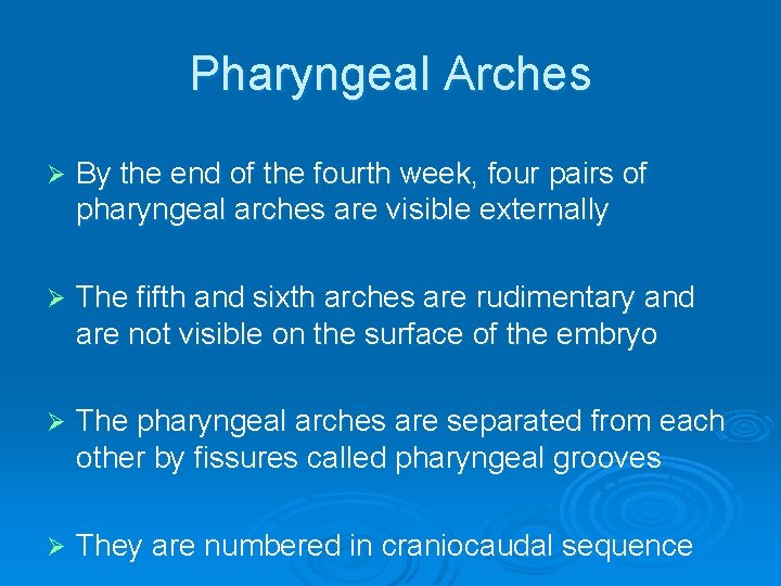 Pharyngeal Arches Ø By the end of the fourth week, four pairs of pharyngeal