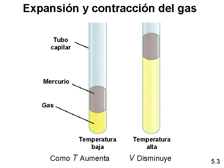 Expansión y contracción del gas Tubo capilar Mercurio Temperatura baja Como T Aumenta Temperatura