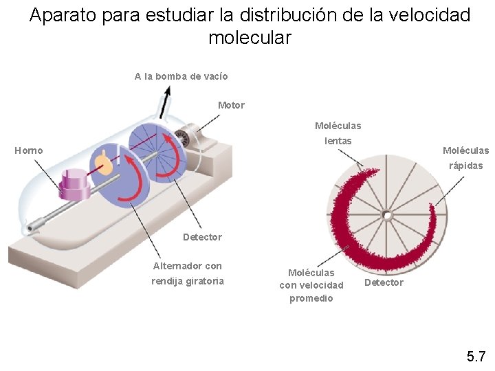 Aparato para estudiar la distribución de la velocidad molecular A la bomba de vacío