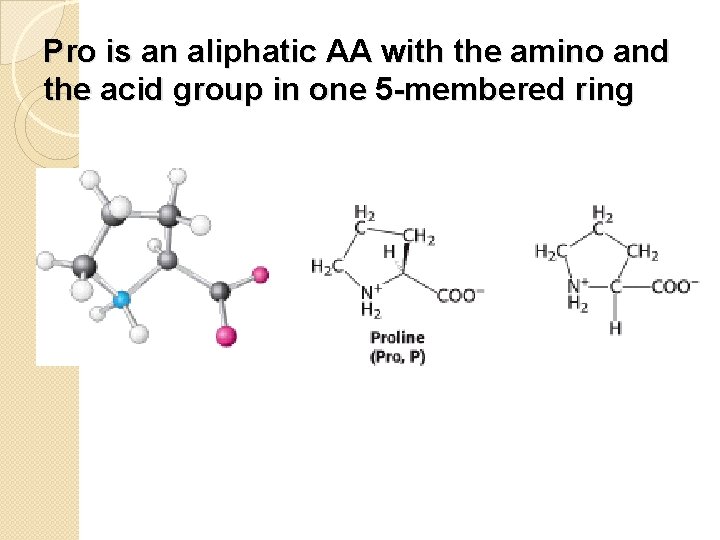 Pro is an aliphatic AA with the amino and the acid group in one