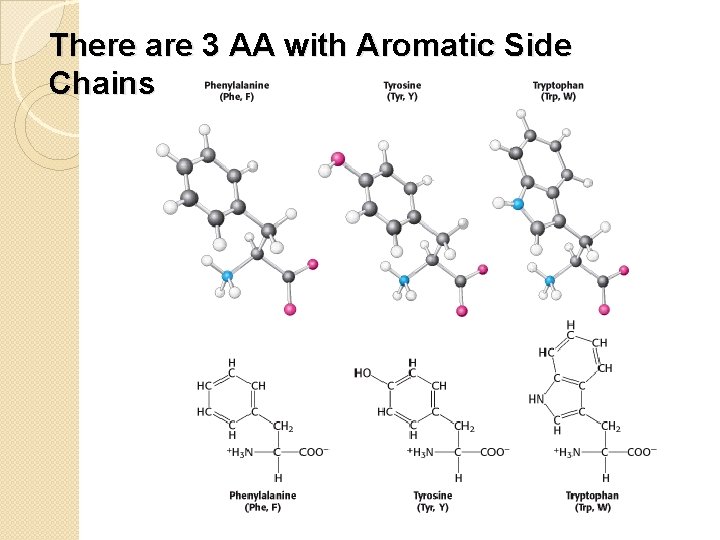 There are 3 AA with Aromatic Side Chains 