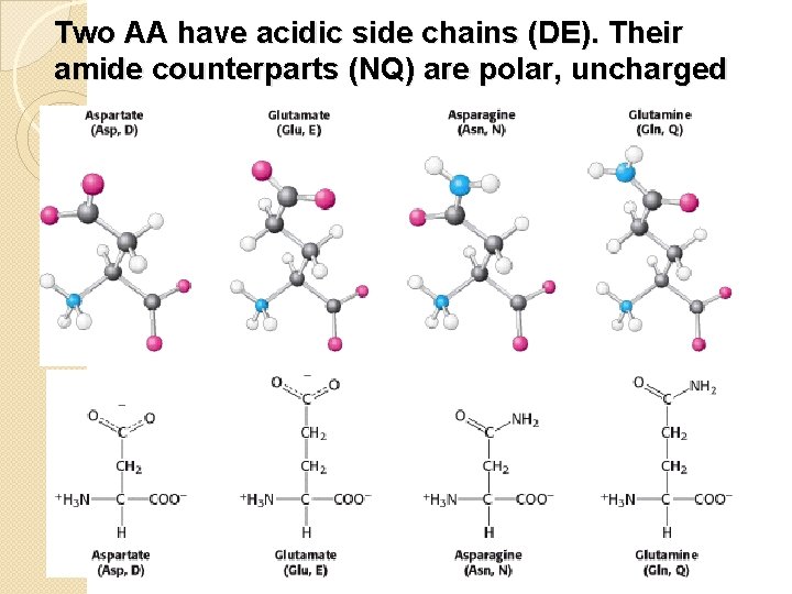Two AA have acidic side chains (DE). Their amide counterparts (NQ) are polar, uncharged