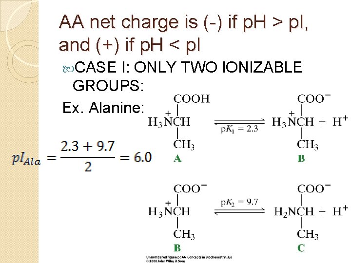 AA net charge is (-) if p. H > p. I, and (+) if