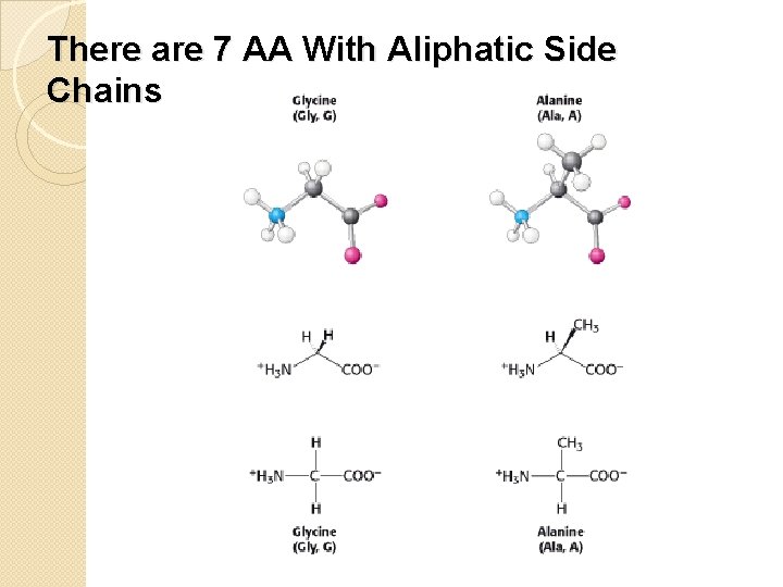 There are 7 AA With Aliphatic Side Chains 