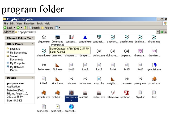 program folder 