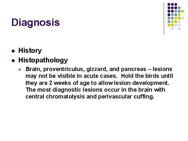 Diagnosis l l History Histopathology l Brain, proventriculus, gizzard, and pancreas – lesions may