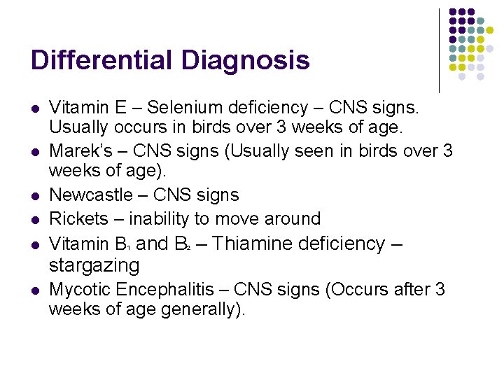 Differential Diagnosis l l l Vitamin E – Selenium deficiency – CNS signs. Usually