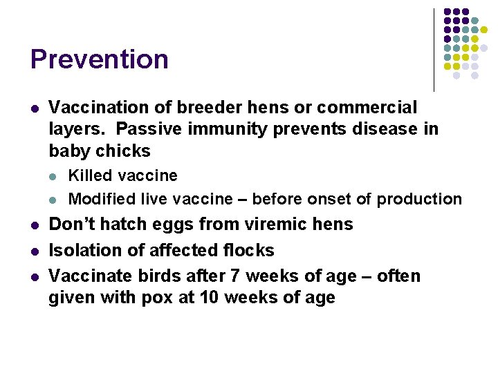 Prevention l Vaccination of breeder hens or commercial layers. Passive immunity prevents disease in