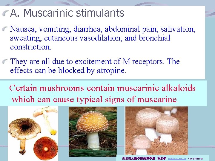 A. Muscarinic stimulants Nausea, vomiting, diarrhea, abdominal pain, salivation, sweating, cutaneous vasodilation, and bronchial