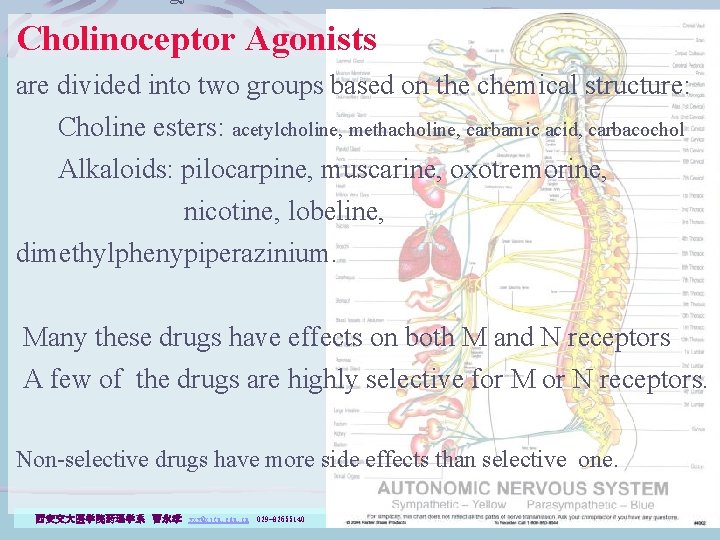 Basic Pharmacology of Cholinoceptor Agonists are divided into two groups based on the chemical