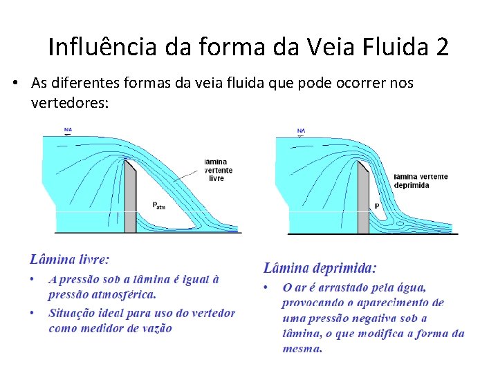 Influência da forma da Veia Fluida 2 • As diferentes formas da veia fluida