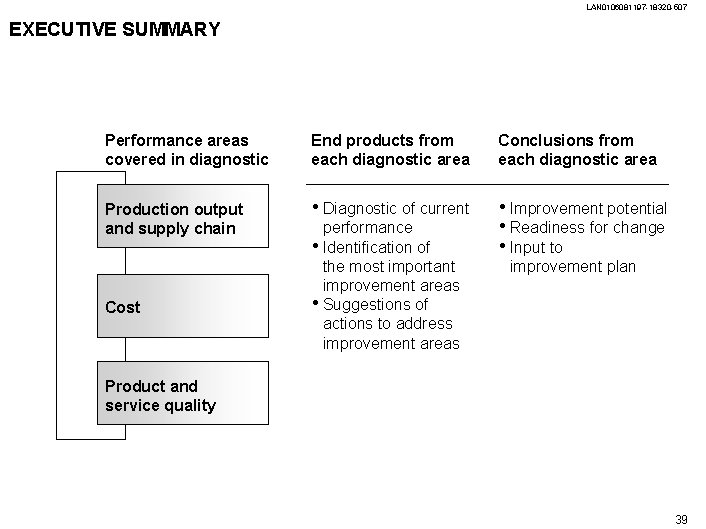 LAN 0106081197 -18320 -507 EXECUTIVE SUMMARY Performance areas covered in diagnostic End products from