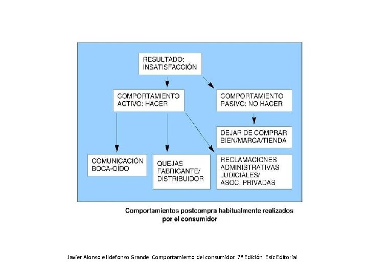 Javier Alonso e Ildefonso Grande. Comportamiento del consumidor. 7ª Edición. Esic Editorial 