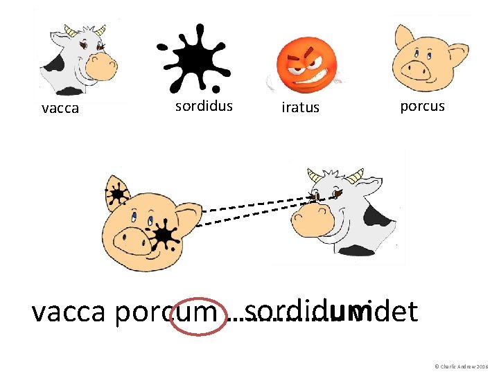 vacca sordidus iratus porcus sordidum vacca porcum ……………… videt © Charlie Andrew 2016 vacca sordidus iratus porcus sordidum vacca porcum ……………… videt © Charlie Andrew 2016