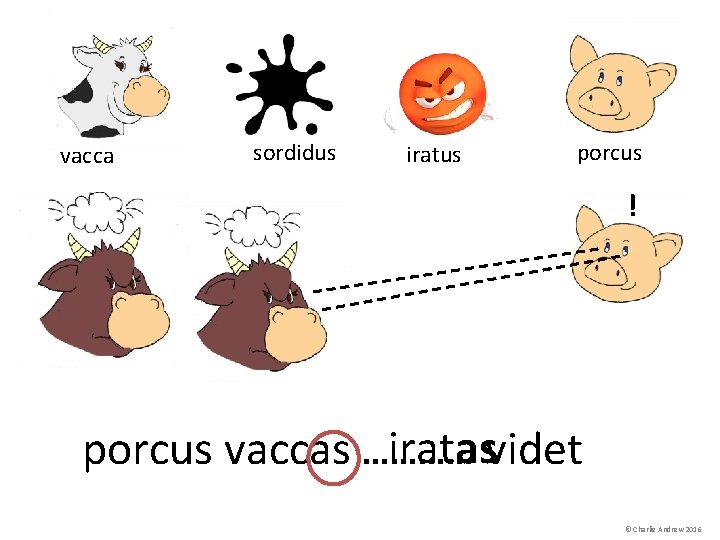 vacca sordidus iratus porcus ! iratasvidet porcus vaccas ………… © Charlie Andrew 2016 vacca sordidus iratus porcus ! iratasvidet porcus vaccas ………… © Charlie Andrew 2016