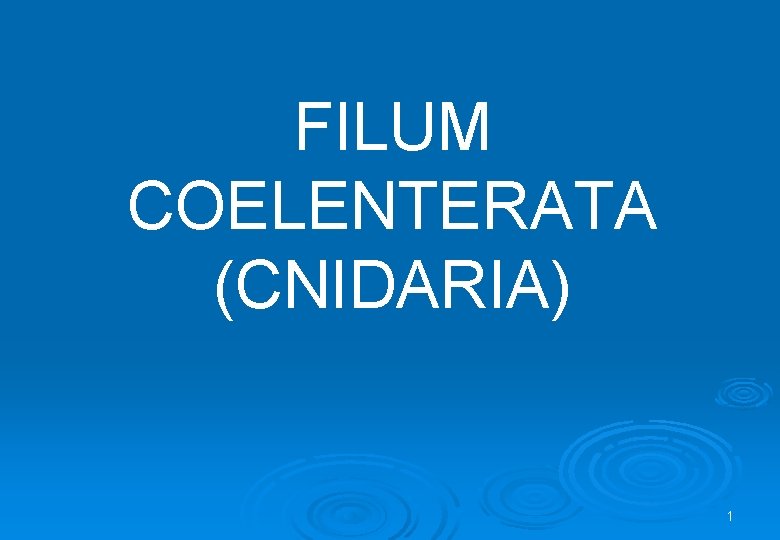 FILUM COELENTERATA (CNIDARIA) 1 